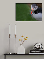 Busy Catch Poster och Canvastavla