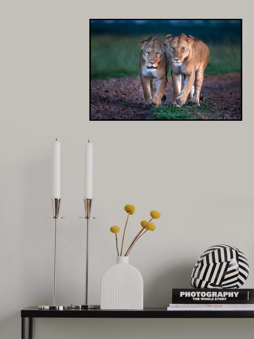 Sisters Poster och Canvastavla
