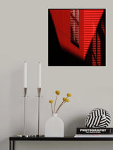 Who is afraid of red? Poster och Canvastavla