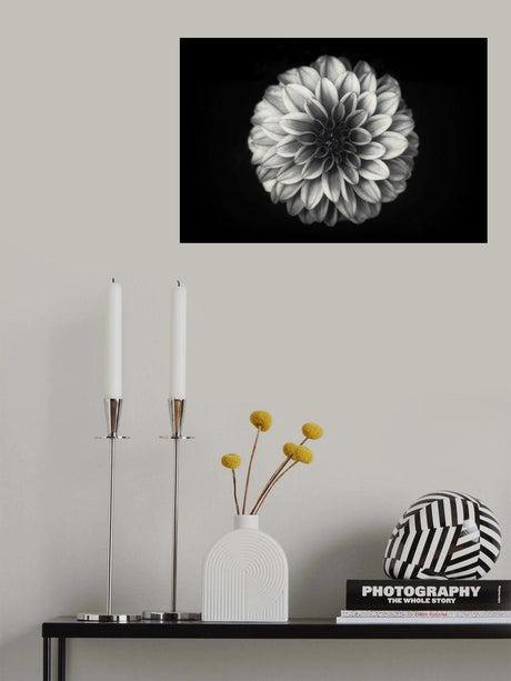 Dahlia Poster och Canvastavla