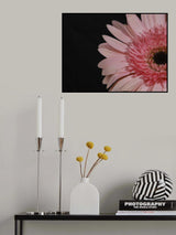 beautiful flower Poster och Canvastavla