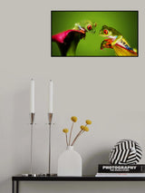 Red-eyed Couple Poster och Canvastavla