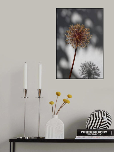 Withered flower, seed house_1 Poster och Canvastavla