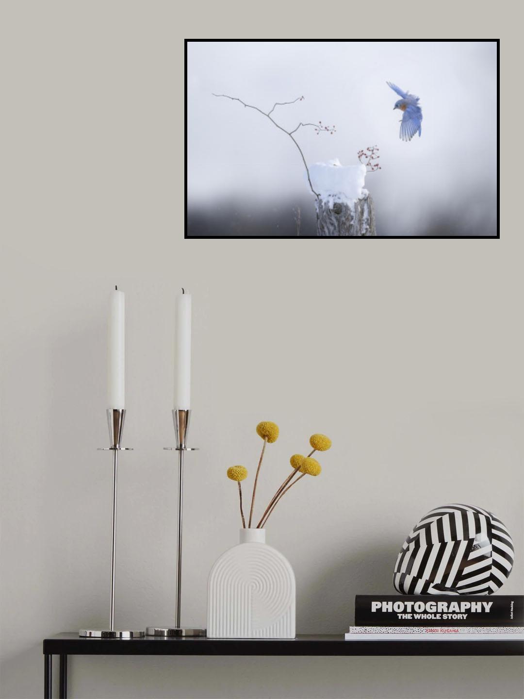 Landing Poster och Canvastavla