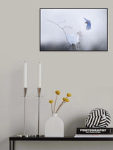 Landing Poster och Canvastavla