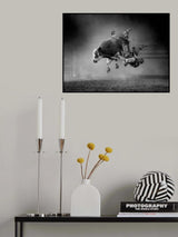 Whose on Top Poster och Canvastavla