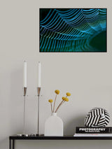 Spider's web. Poster och Canvastavla