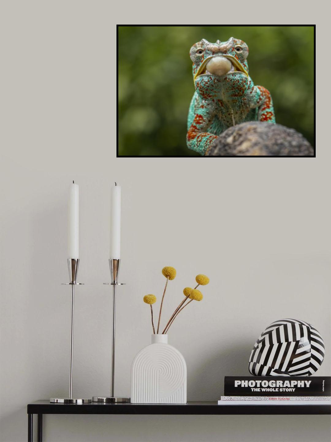 the chameleon Poster och Canvastavla