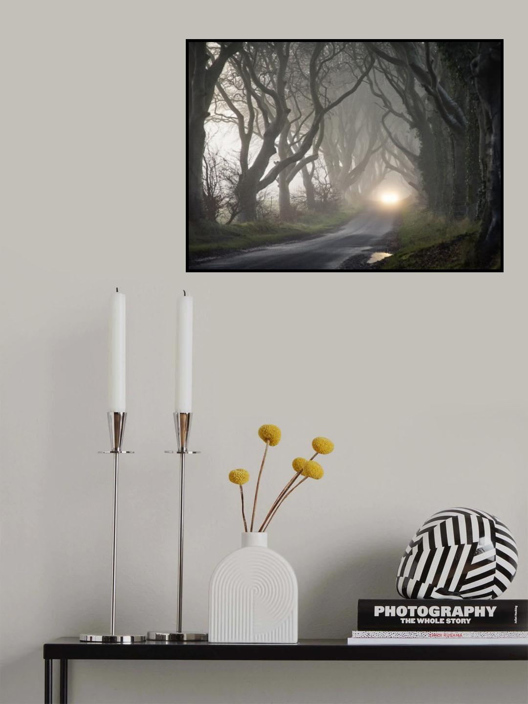 The Dark Hedges Poster och Canvastavla