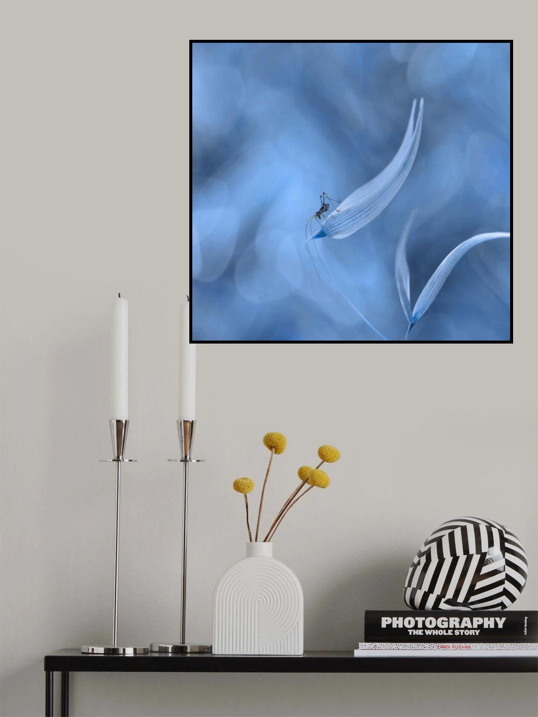 There is a storm in the air... Poster och Canvastavla