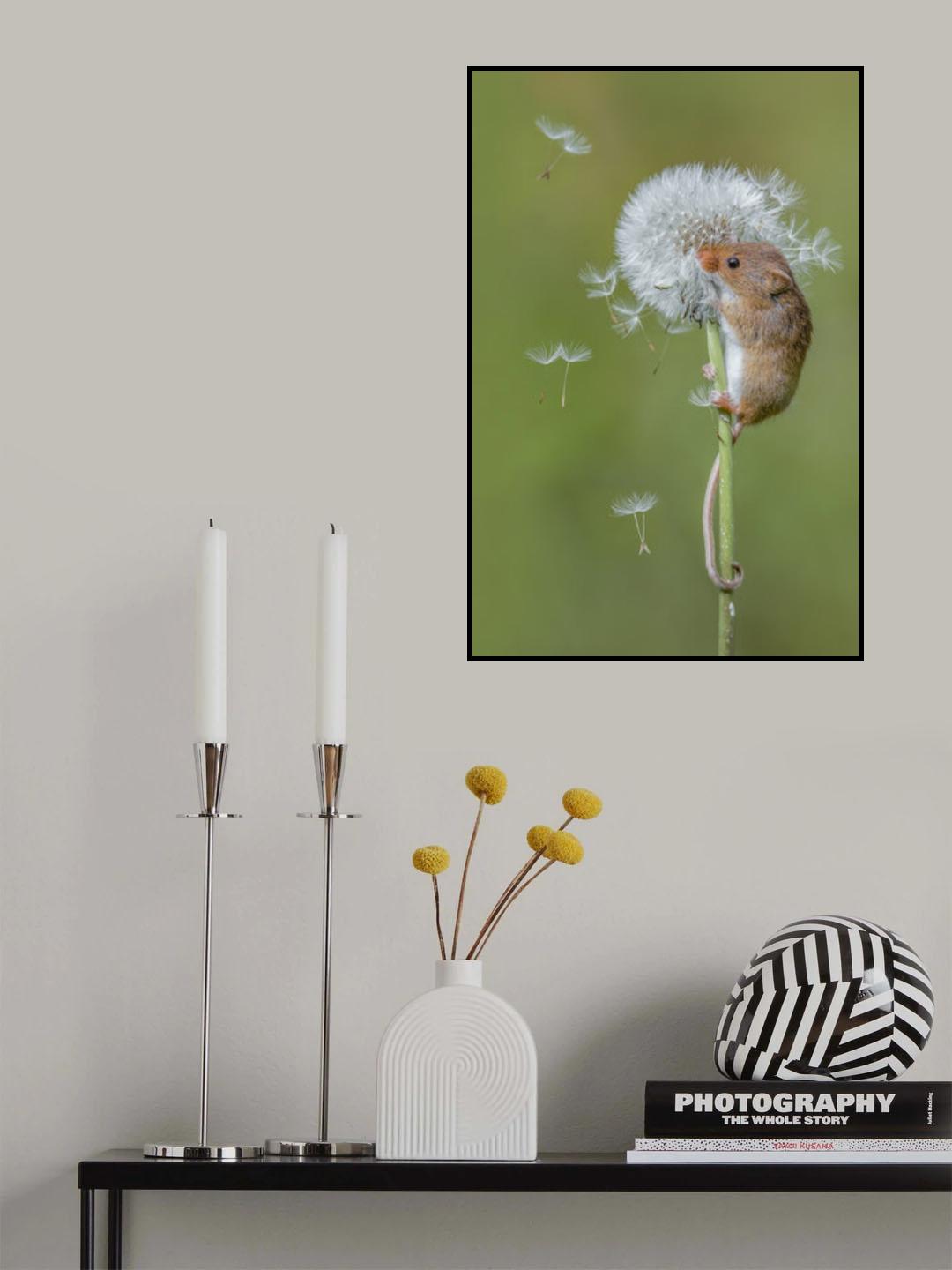 Harvest mice Poster och Canvastavla
