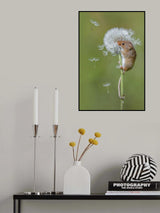 Harvest mice Poster och Canvastavla