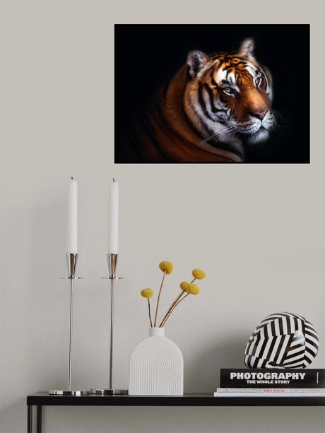 Tiger Poster och Canvastavla