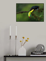 The colors of Costa Rica Poster och Canvastavla