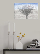 White Wall Poster och Canvastavla