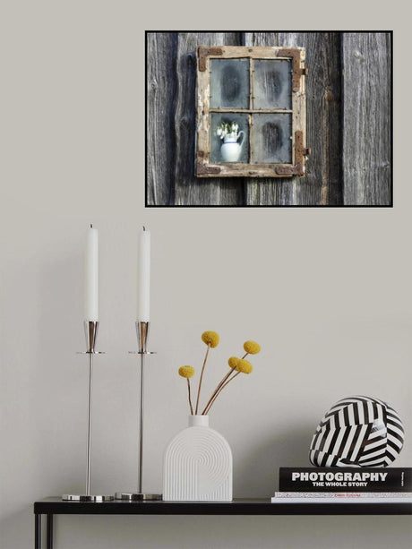 Spring flowers in the window Poster och Canvastavla