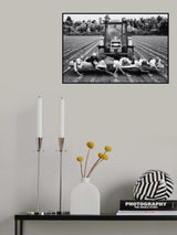 Strawberries Poster och Canvastavla
