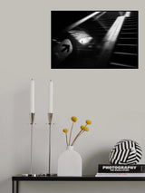 With The Wind Poster och Canvastavla