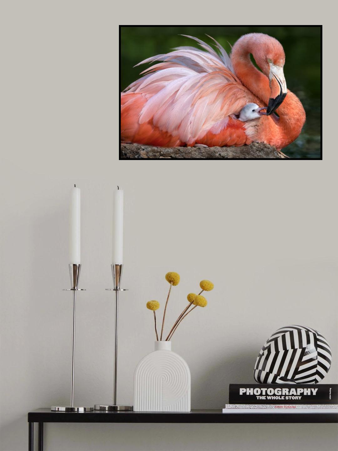 Flamingo mom with her chick Poster och Canvastavla