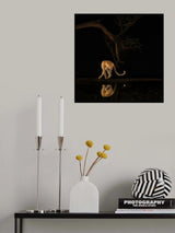 Look Back Poster och Canvastavla