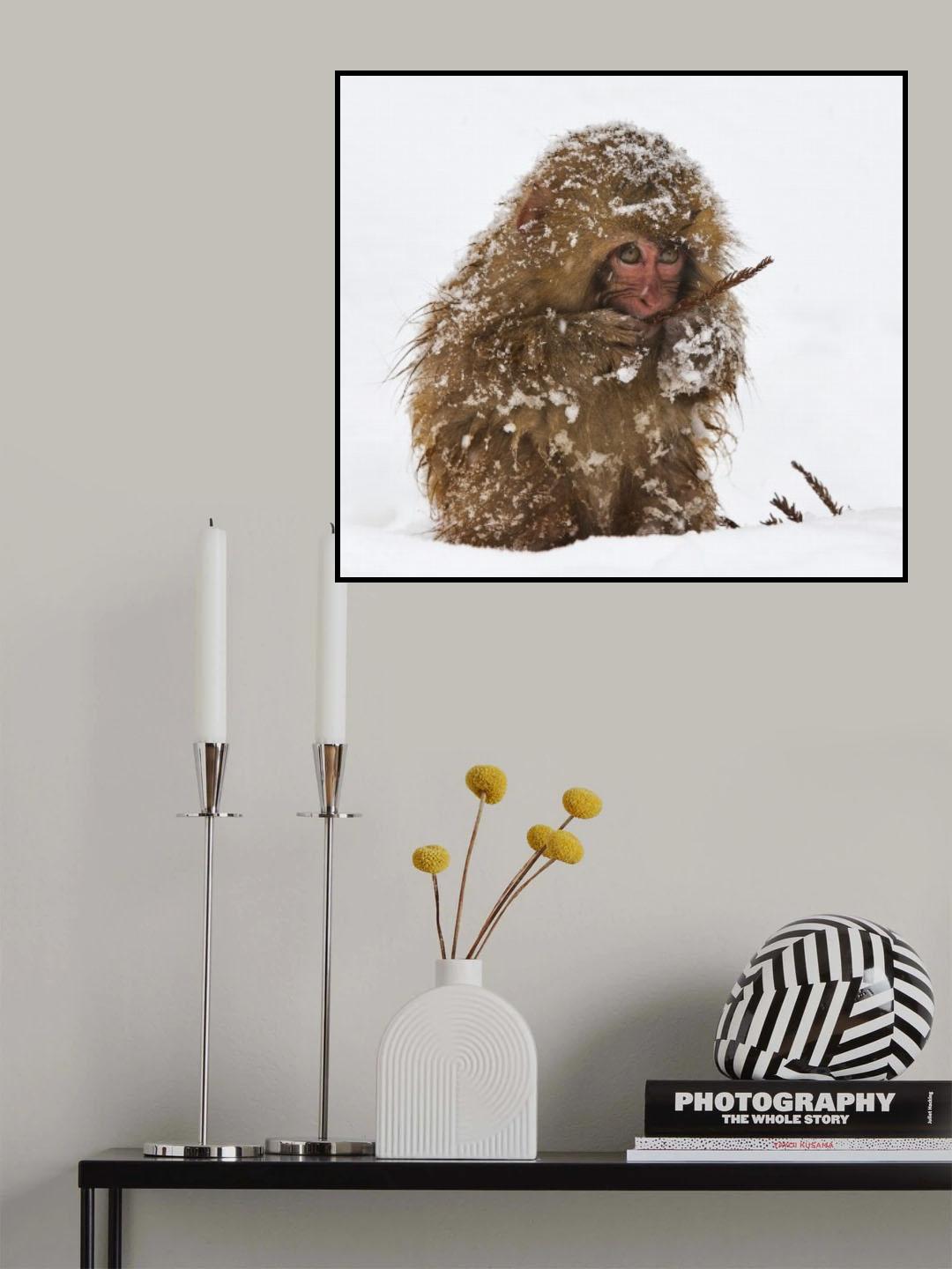 Surviving Poster och Canvastavla