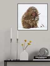 Surviving Poster och Canvastavla