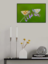 LOVE Poster och Canvastavla