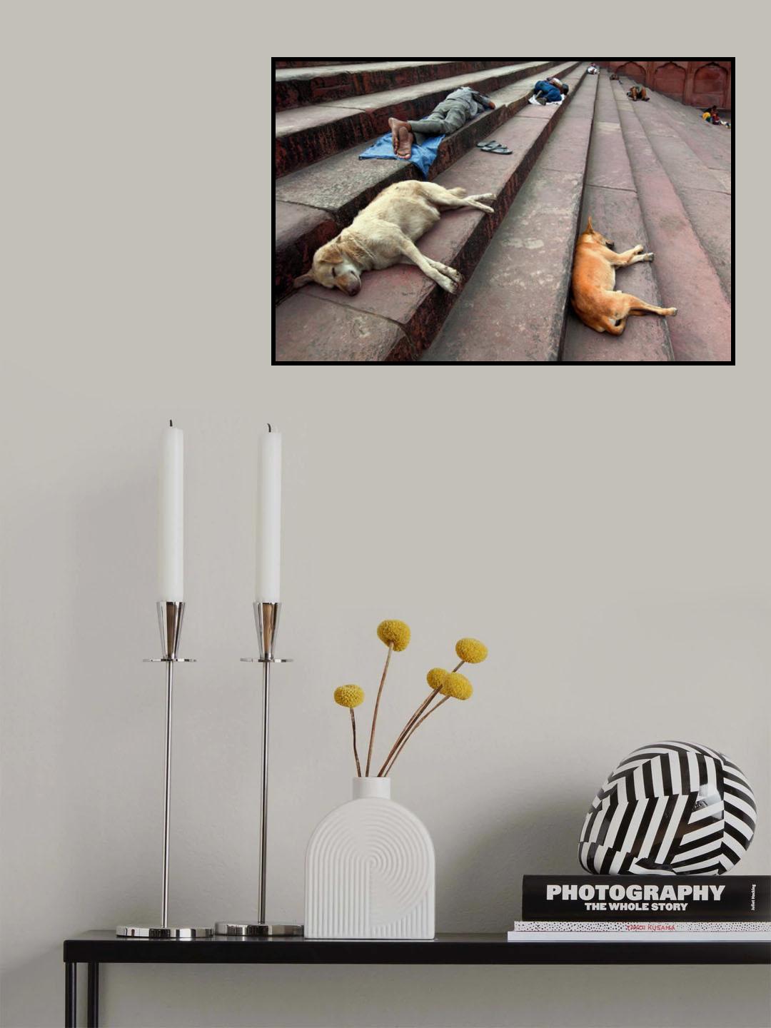 Siesta Poster och Canvastavla