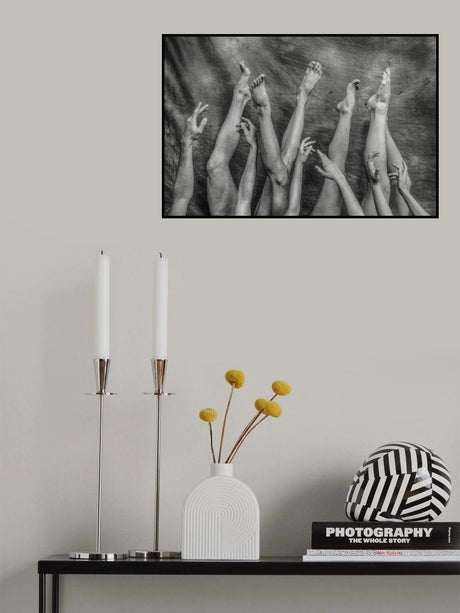 An Elegant Chaos. Poster och Canvastavla