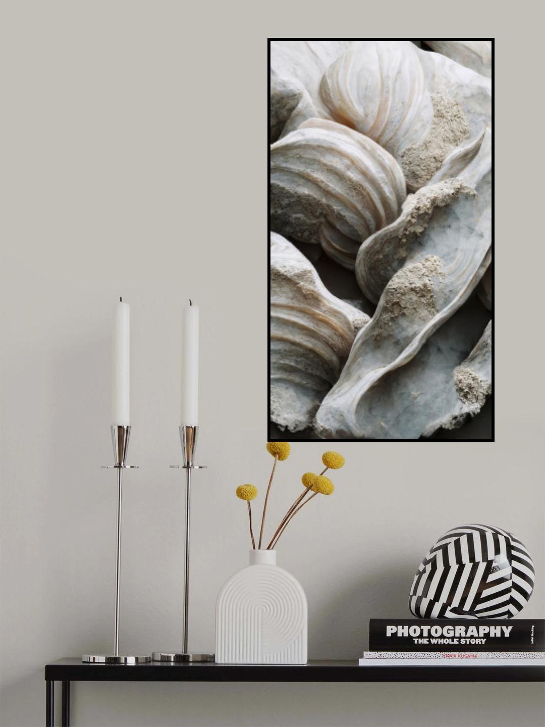 Sea Shells Detail No 1 Poster och Canvastavla
