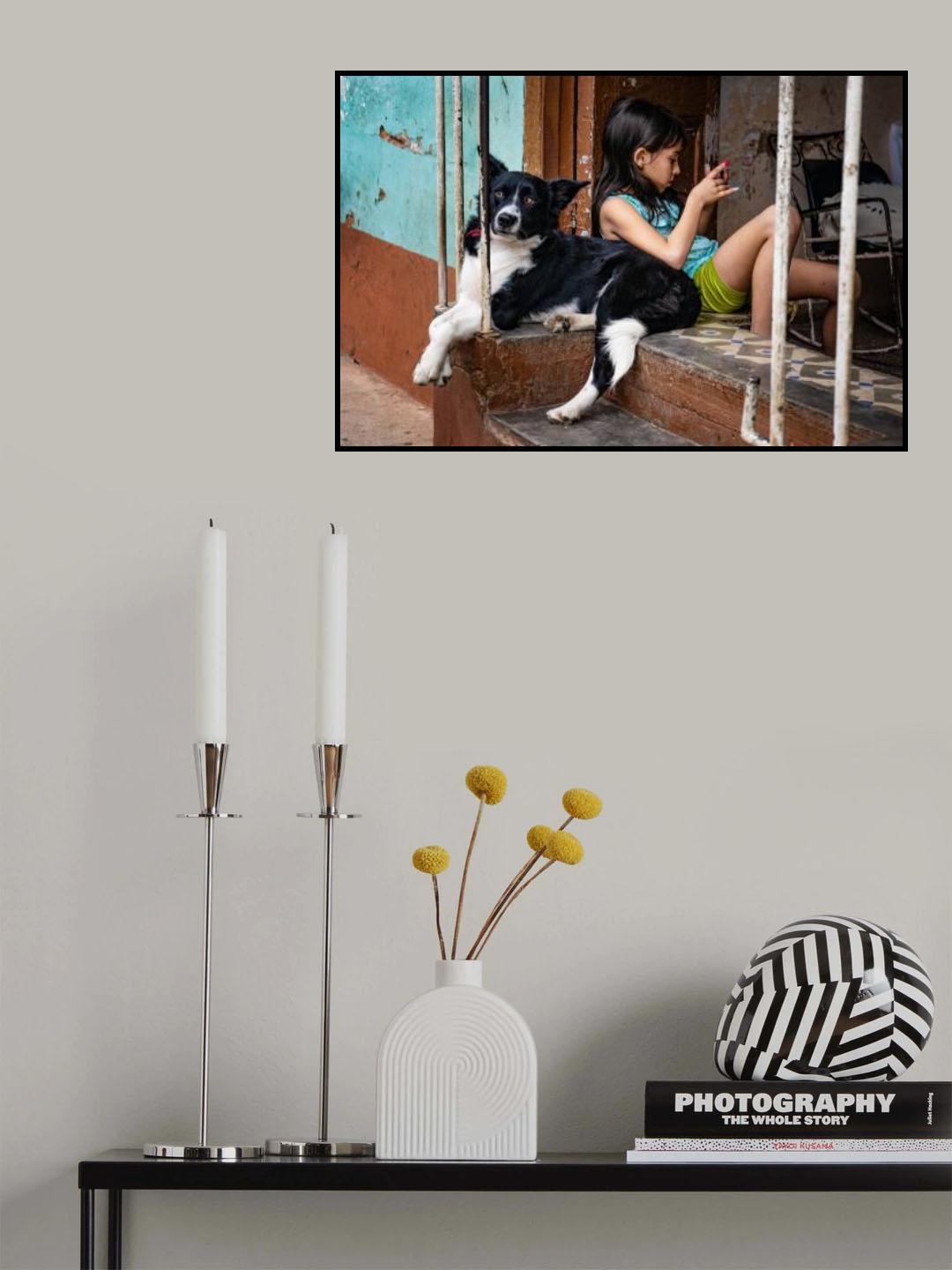 relaxing afternoon Poster och Canvastavla