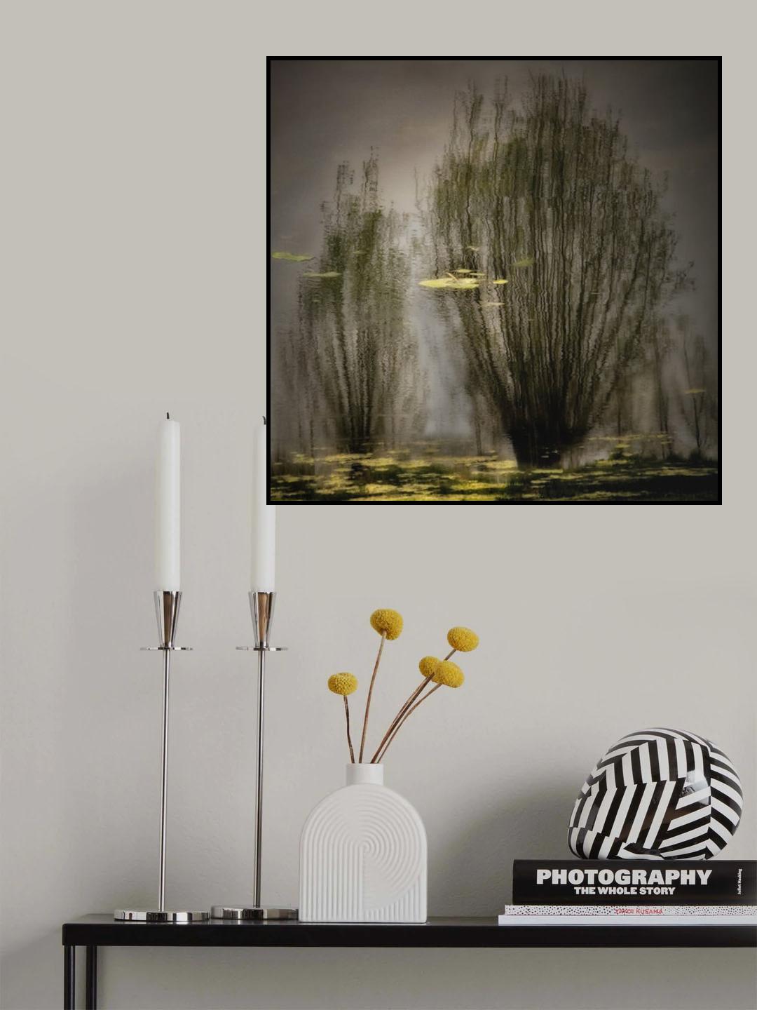 Shimmering reflections Poster och Canvastavla