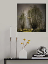 Shimmering reflections Poster och Canvastavla