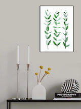 Watercolor eucalyptus parvifolia Poster och Canvastavla