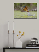 Green Fishing Poster och Canvastavla