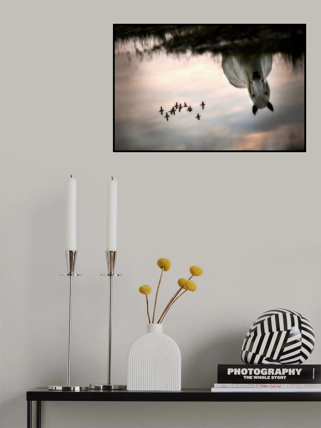 fly Poster och Canvastavla