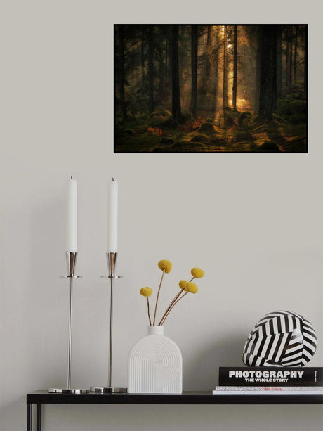 The light in the forest Poster och Canvastavla