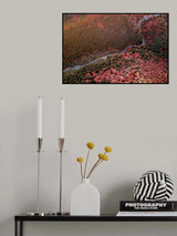 Poster och Canvastavla