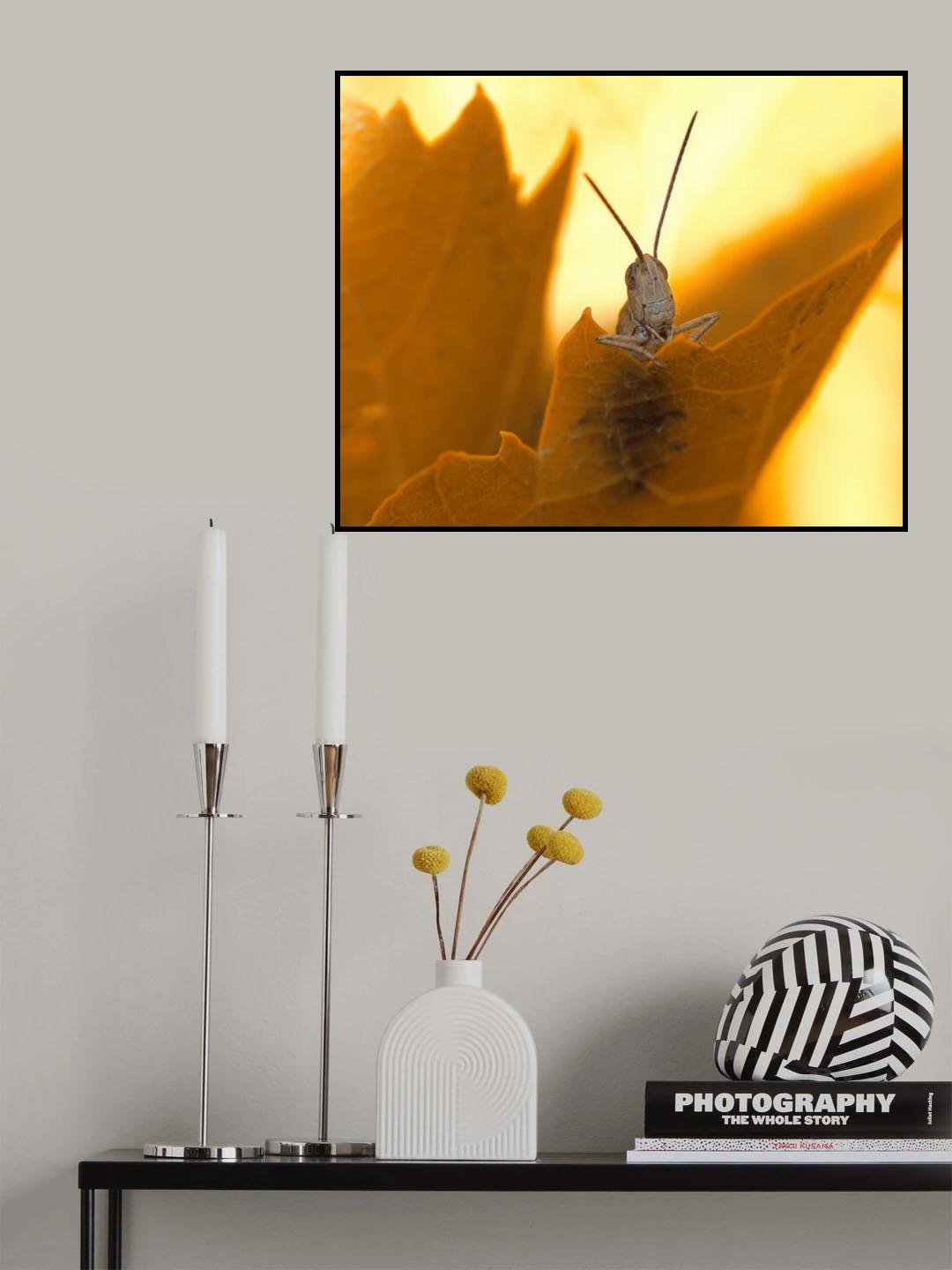 Speaker... Poster och Canvastavla