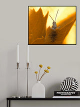 Speaker... Poster och Canvastavla