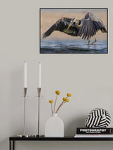 Heron Poster och Canvastavla