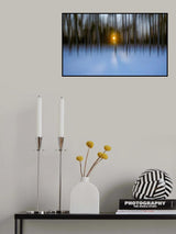 Sunset in the Winter Poster och Canvastavla