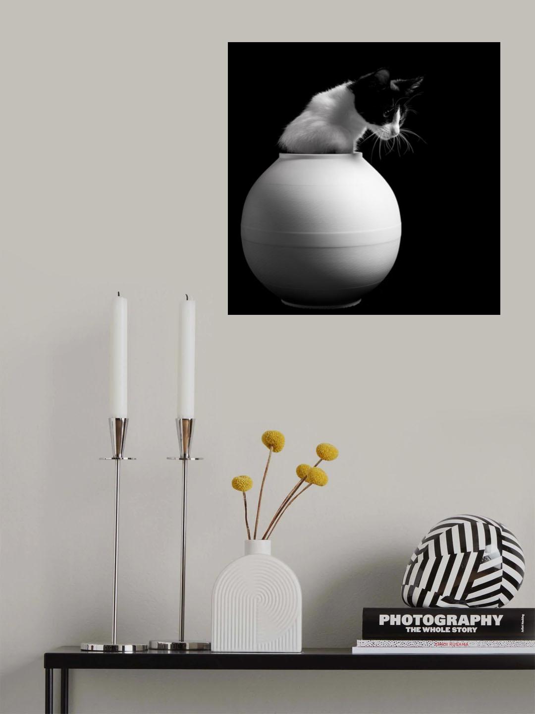 Chanel Poster och Canvastavla
