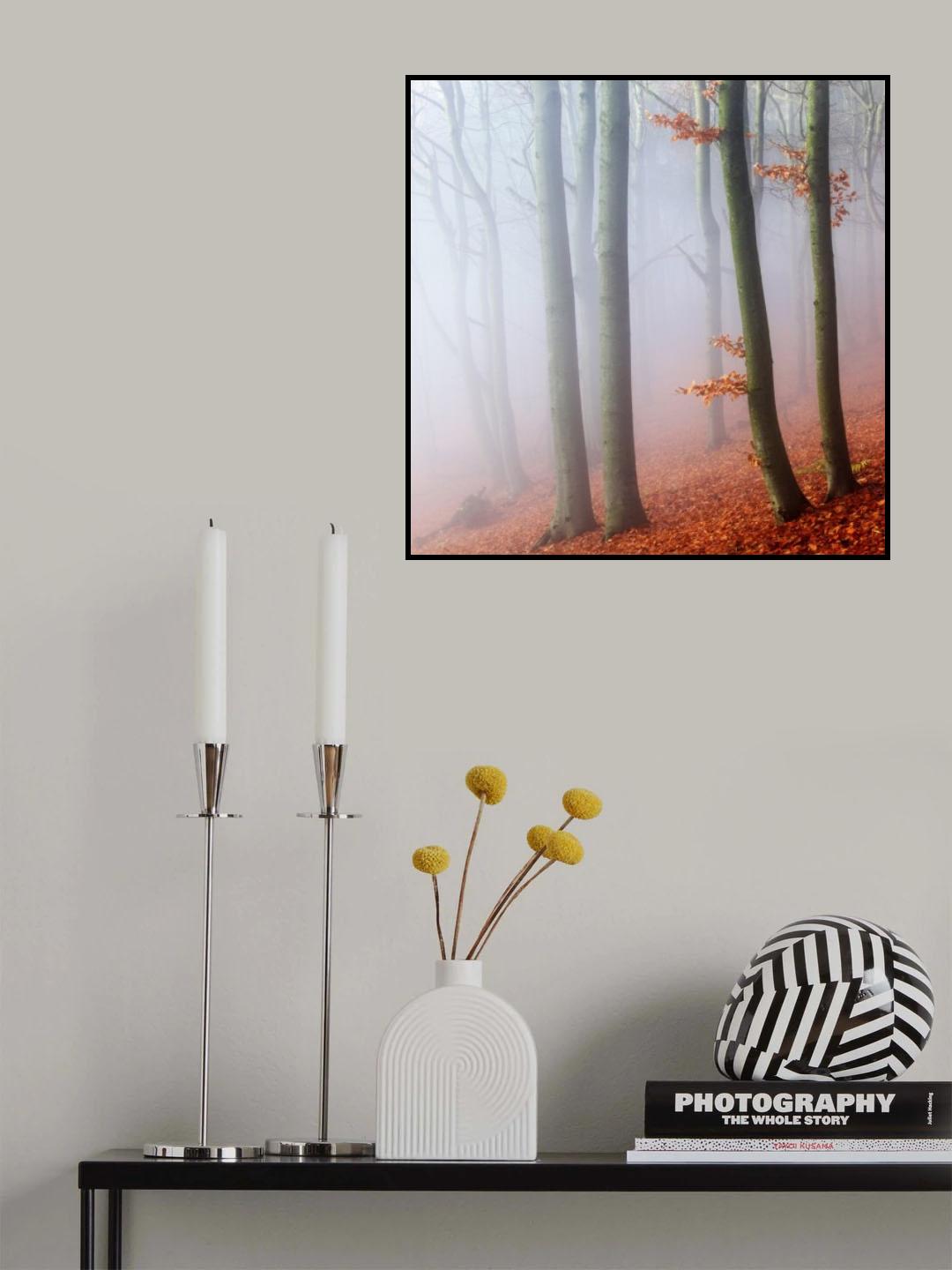Beeches Poster och Canvastavla