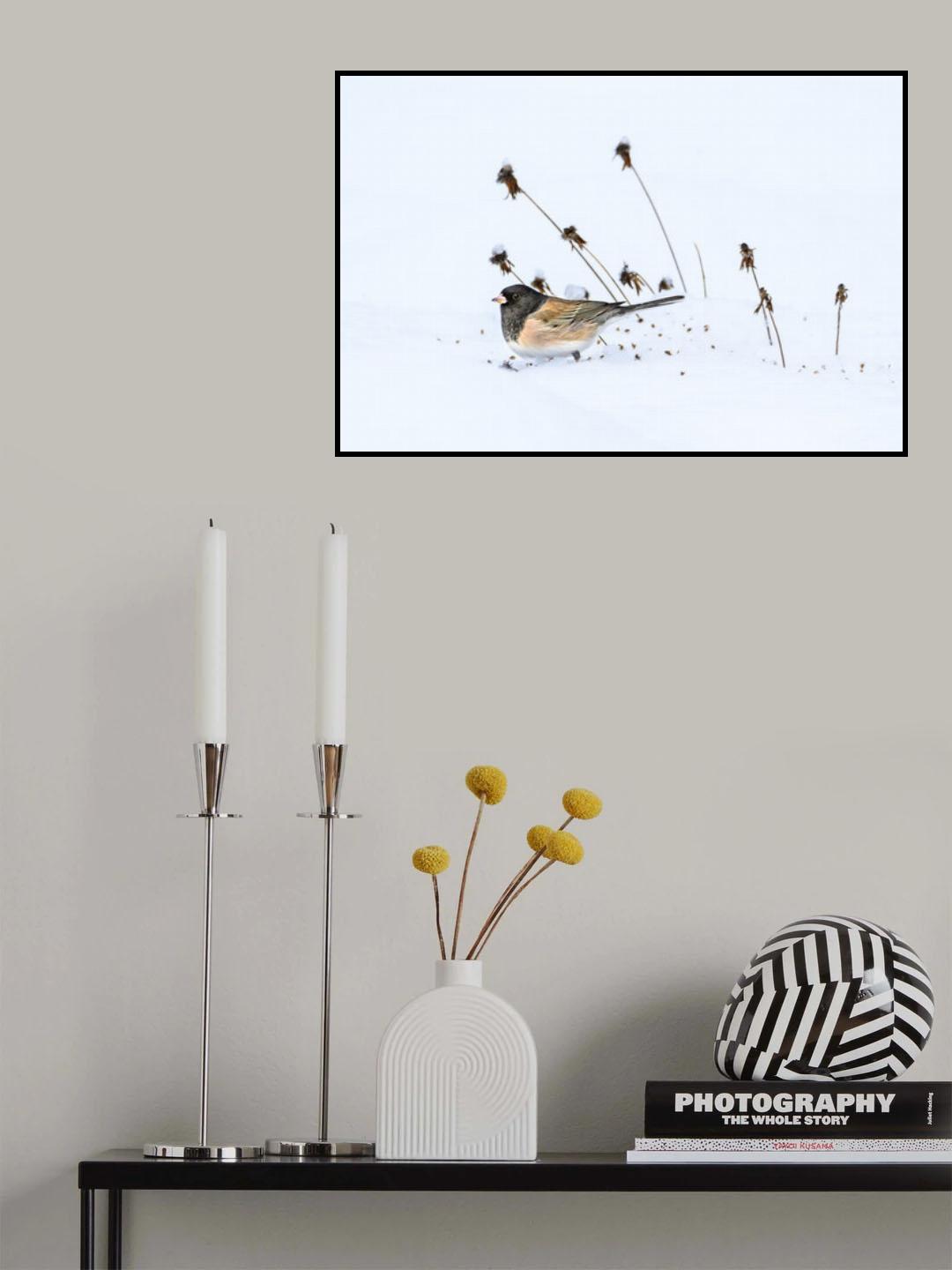 Waiting for Spring Poster och Canvastavla
