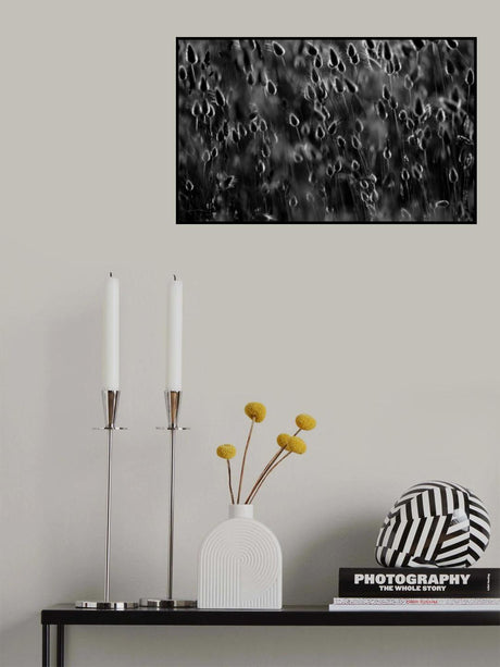 Just as drops of light Poster och Canvastavla