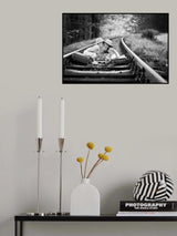 Brothers love Poster och Canvastavla