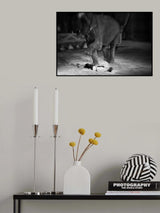 Poster och Canvastavla