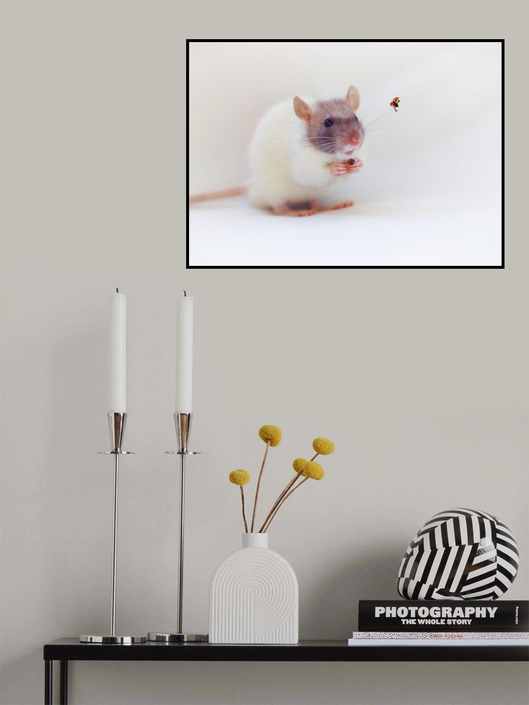 Snoozy and ladybirds Poster och Canvastavla
