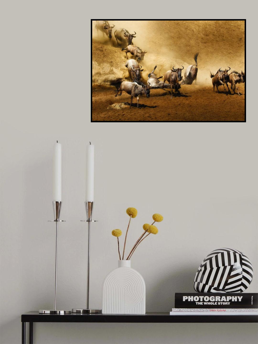 Migration Frenzy Poster och Canvastavla